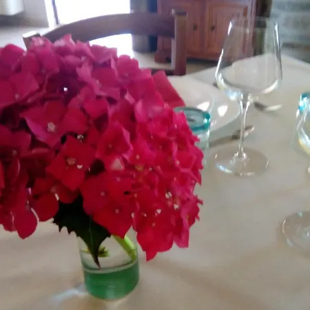 Nizur'in * Roccaverano